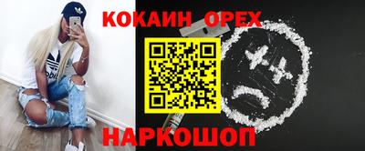 индика Будённовск