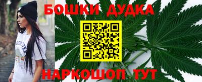 индика Будённовск